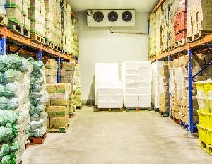 Vegetables and Fruits Cold Storage