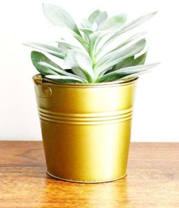 Simple Iron Planter Pot