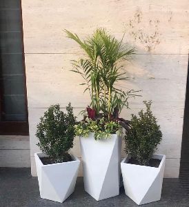 Frp Planters