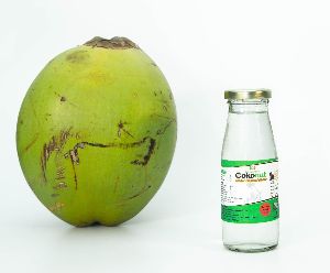 500ml Tender Coconut Water