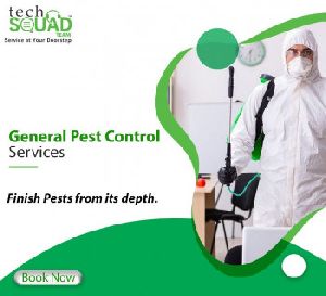 Pest Control Services Near Me in Chennai