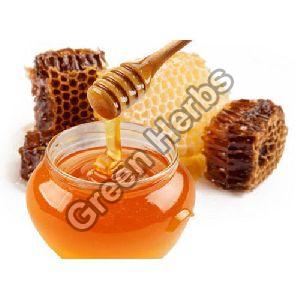 Forest Honey-