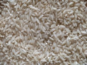 Organic Sona mosuri rice (old) .