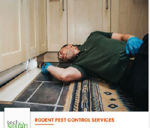 Rodent  Control Services Near Me in Hyderabad
