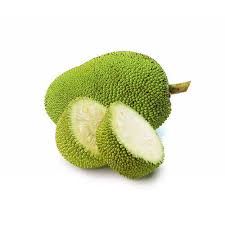 Fresh green jackfruit