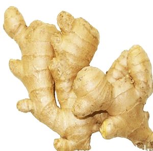 fresh ginger