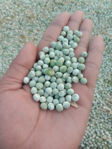 Green Peas  Dantewada