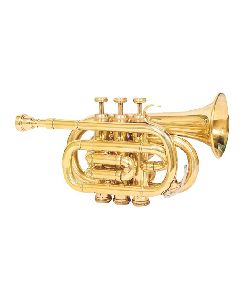 ARB Professional Standard Gold Pocket Trumpet
