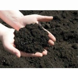 Natural Soil Conditioner