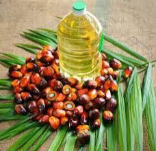 Palm Oil