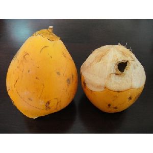 Yellow Tender Coconut