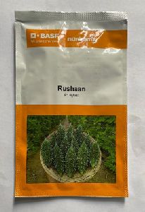 Bitter gourd seeds nunhems Rushan