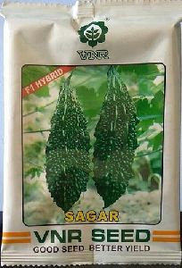 Bitter sagar seeds