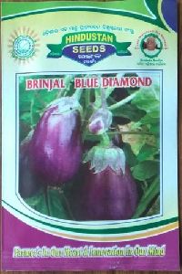 Brinjal Blue Diamond Seeds
