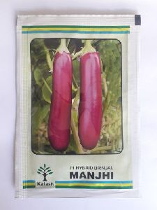Brinjal Seeds Kailash manjhi