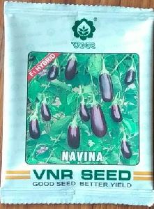 Brinjal Naveena Seeds