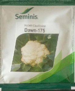 Cauliflower seeds Dawn -175