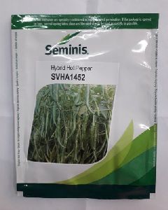 Chilly Seminis SVHA 1452 seeds