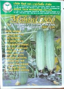 Cucumber mohini 5300 hybrid seed