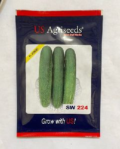 Cucumber sw 224 hybrid seed