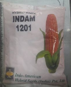 Maize Corn Indam 1201 Hybrid Seeds