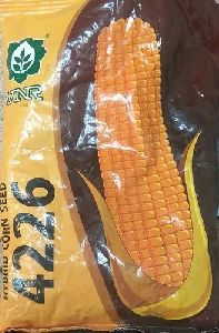 Maize Corn (VNR 4226 Hybrid Seeds