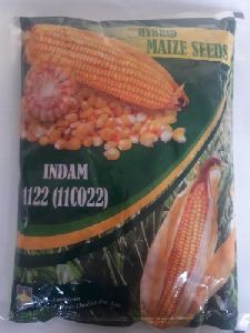Maize Corn indam 1122