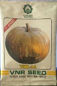pumpkin vnr seeds 14