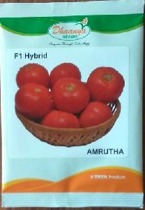 Tomato Amrutha Seeds