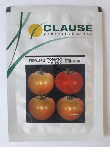 Tomato clause priya (6636)