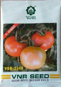 Tomato vnr -3348 hybrid seeds