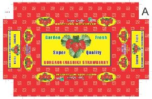 Strawberry Packaging Boxes