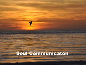 Soul Healing Services