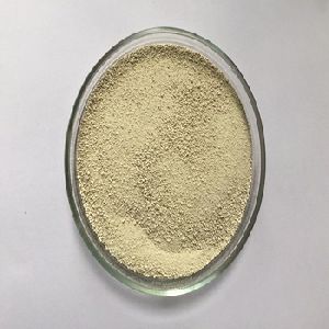 Xylanase Enzyme Powder