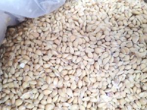 Nimbu Seed