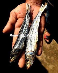 Mackerel Dry Fish