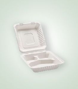 Disposable Container