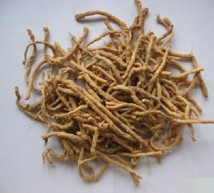 Dried Punarnava Root