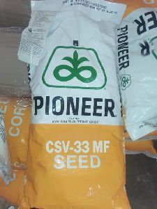 Cofs33 hybrid seed