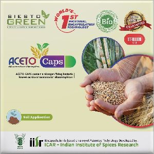 Bio Organic Fertilizer