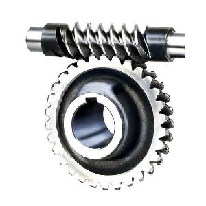 Worm Wheel Gear