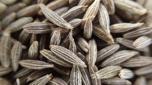 organic cumin seed