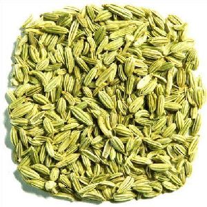 Organic Fennel Seeds