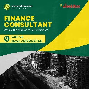 finance consultant
