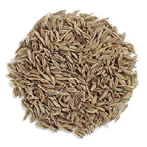 cumin seeds