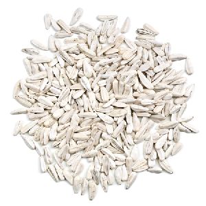 Top Quality White Sunflower Seed
