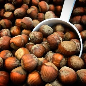 Top Quality Hazelnuts