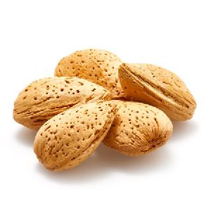 Raw Almond Nuts in shell