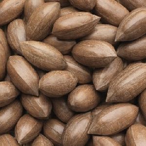 pecan nuts without shell