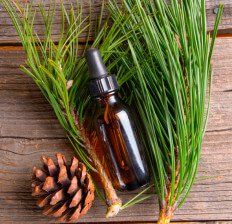 pine oil